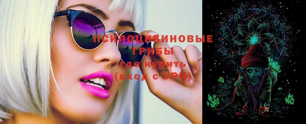 PSILOCYBIN Осинники