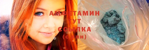 шишки Осташков