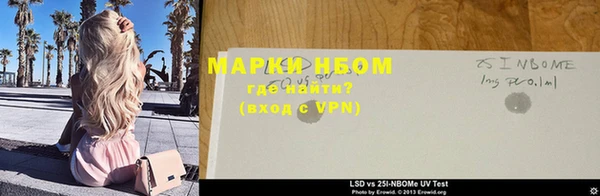 шишки Осташков