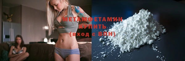 шишки Осташков