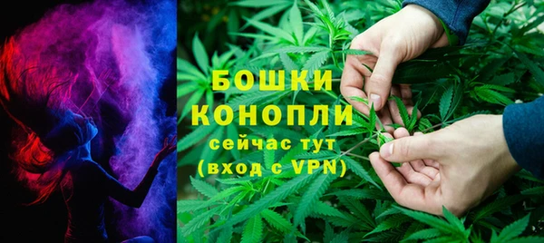 шишки Осташков