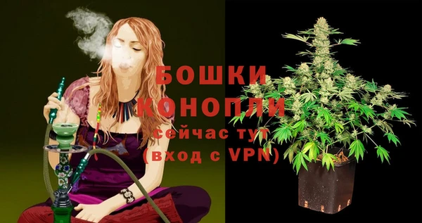 прущие крисы Няндома