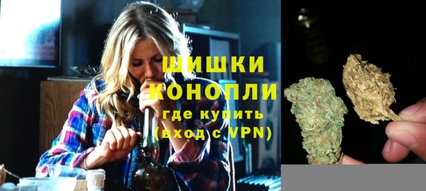 PSILOCYBIN Осинники