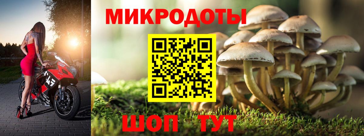 Саки  Псилоцибиновые грибы Magic Shrooms  Вход с VPN  Галлюциногенные грибы мухоморы 