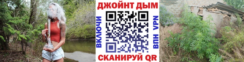 МАРИХУАНА Amnesia  Саки 