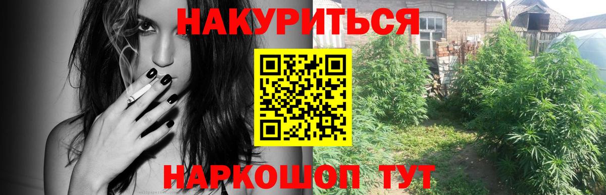 Бошки Шишки MAZAR  Канабис план  Вход с VPN  Шишки марихуана тримм  Канабис Amnesia  Саки 